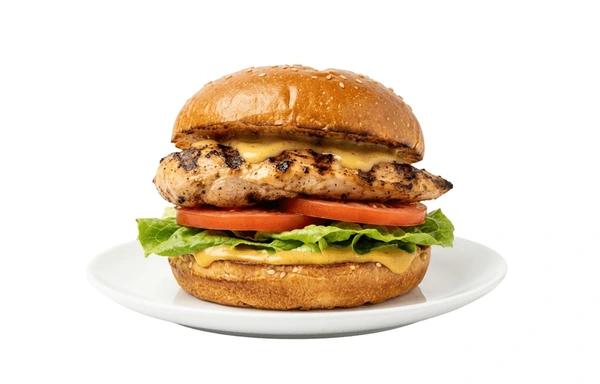 Chicken burger framed in the camera — Healthy Bears's input